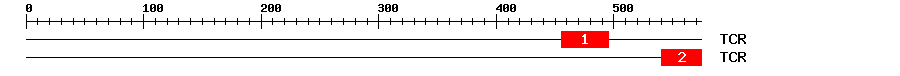 Signature Domain
