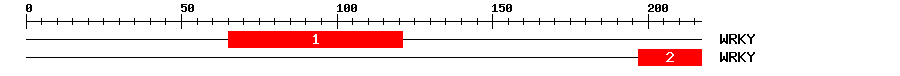 Signature Domain