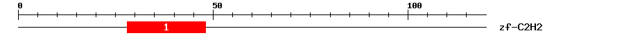 Signature Domain