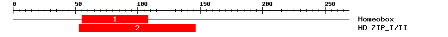 Signature Domain