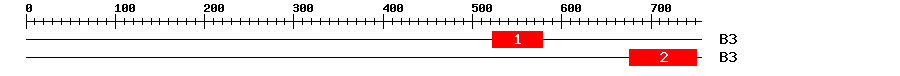 Signature Domain