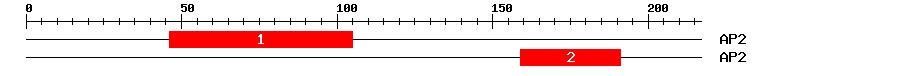 Signature Domain