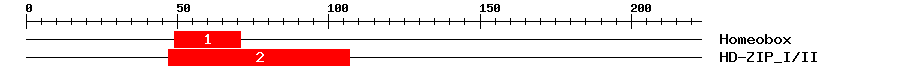 Signature Domain