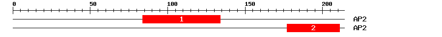 Signature Domain