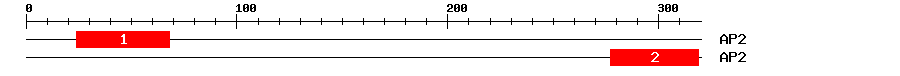 Signature Domain