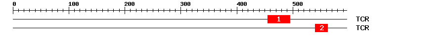 Signature Domain