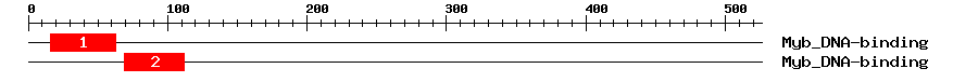 Signature Domain