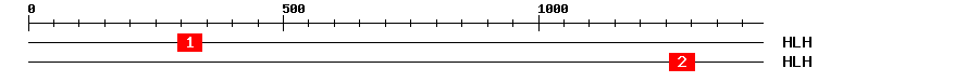 Signature Domain