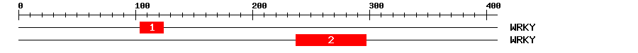 Signature Domain