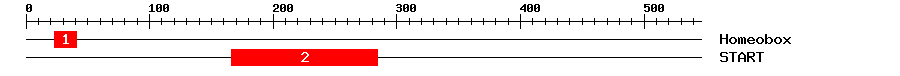 Signature Domain