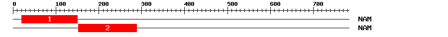Signature Domain