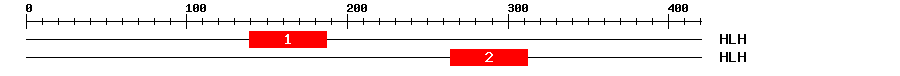 Signature Domain