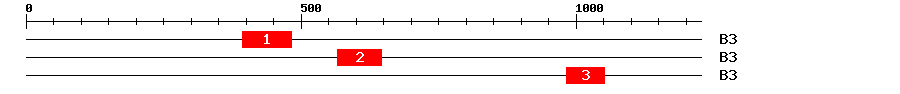 Signature Domain