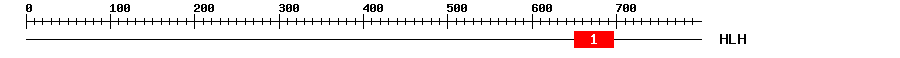 Signature Domain