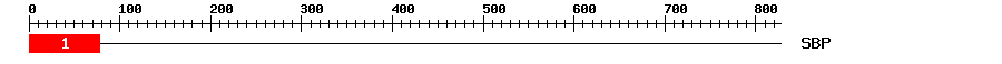 Signature Domain