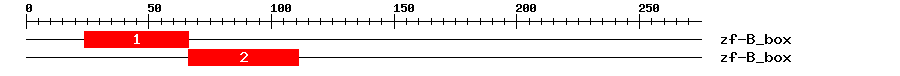 Signature Domain