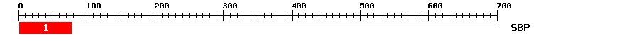 Signature Domain