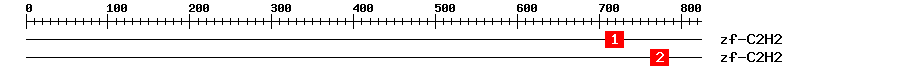 Signature Domain