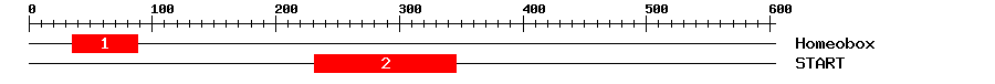 Signature Domain