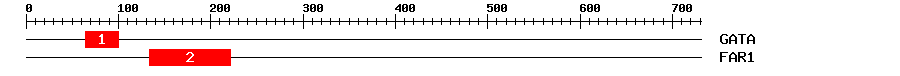 Signature Domain