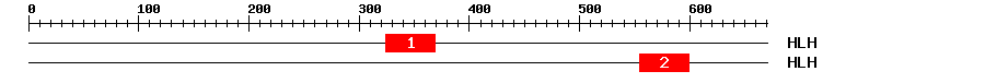 Signature Domain