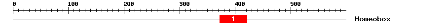 Signature Domain