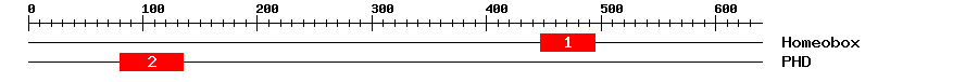 Signature Domain