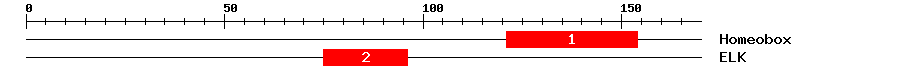 Signature Domain