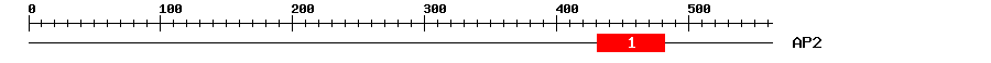 Signature Domain