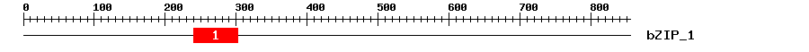 Signature Domain