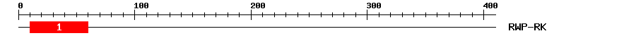 Signature Domain