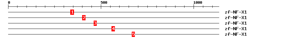 Signature Domain