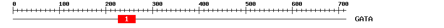 Signature Domain
