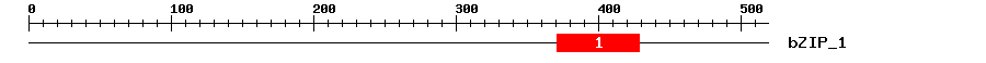 Signature Domain