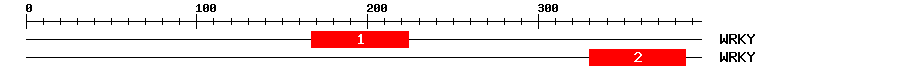 Signature Domain