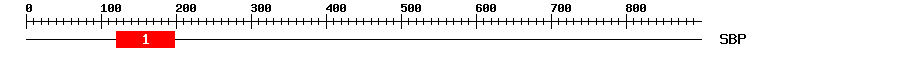 Signature Domain