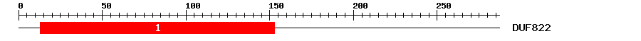 Signature Domain