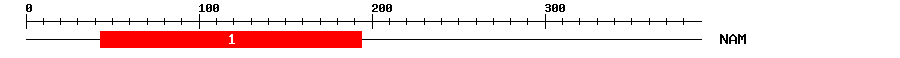 Signature Domain