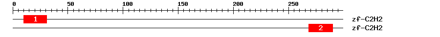 Signature Domain