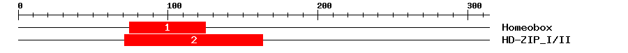 Signature Domain