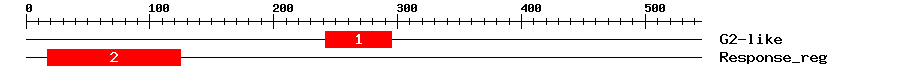 Signature Domain
