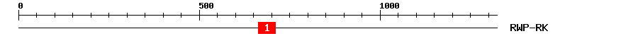 Signature Domain