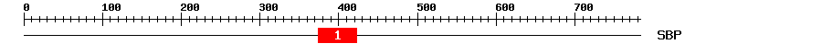 Signature Domain