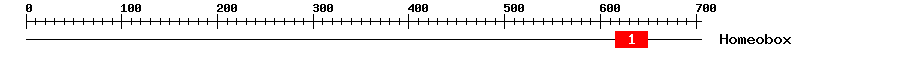 Signature Domain