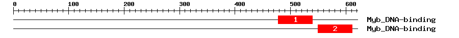 Signature Domain