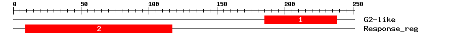 Signature Domain