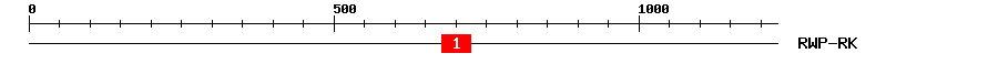 Signature Domain