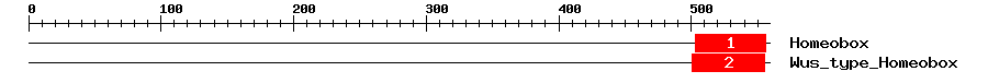 Signature Domain