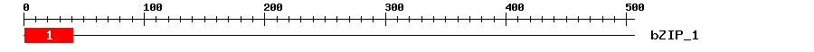 Signature Domain