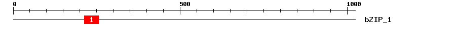 Signature Domain